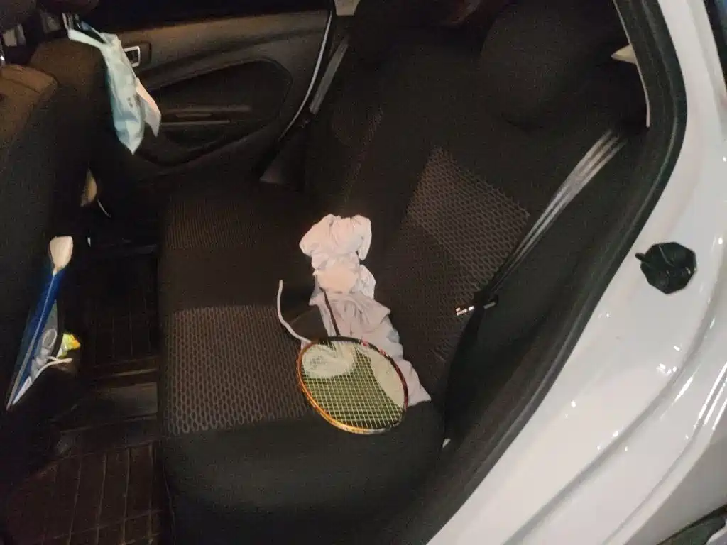 Ford Fiesta — миниатюра 15