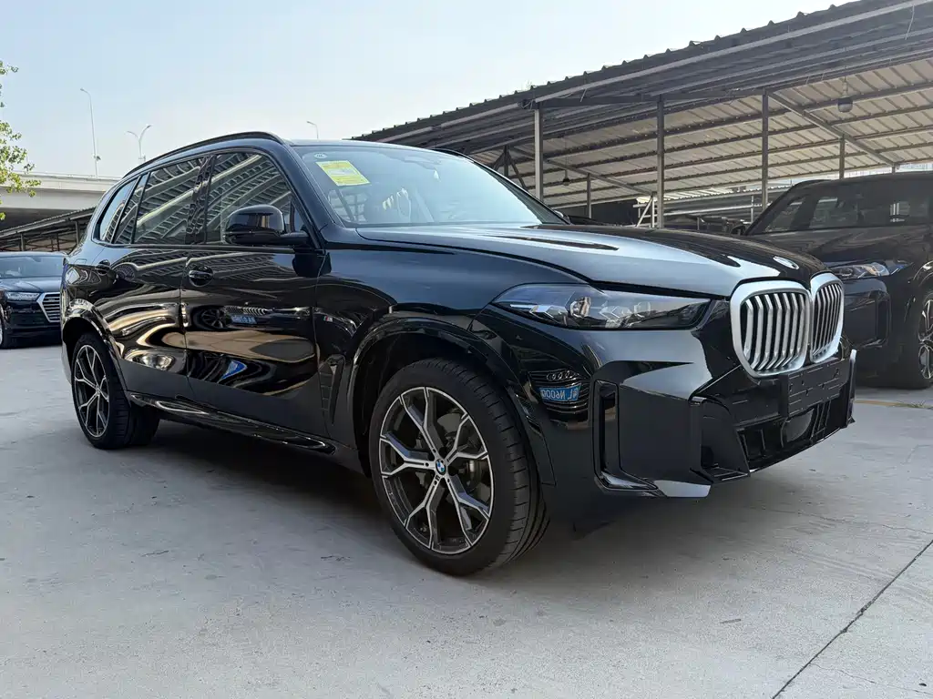 BMW X5 — миниатюра 3