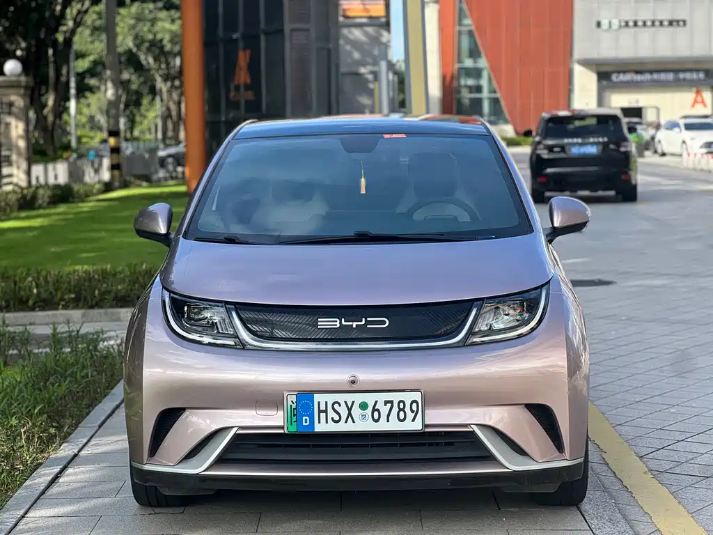 BYD Dolphin 2021 405km Fashion