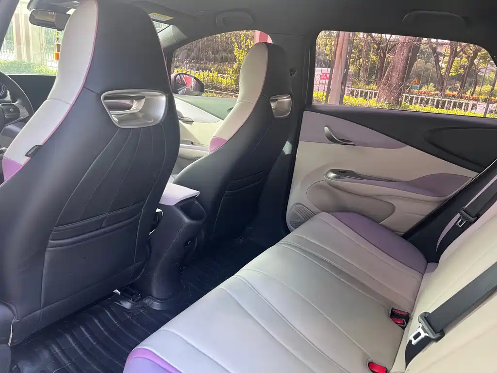 BYD Dolphin 2021 405km Fashion