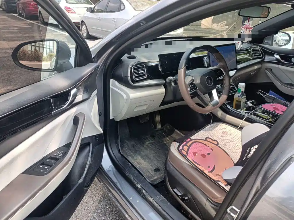 BYD Qin PLUS — миниатюра 17