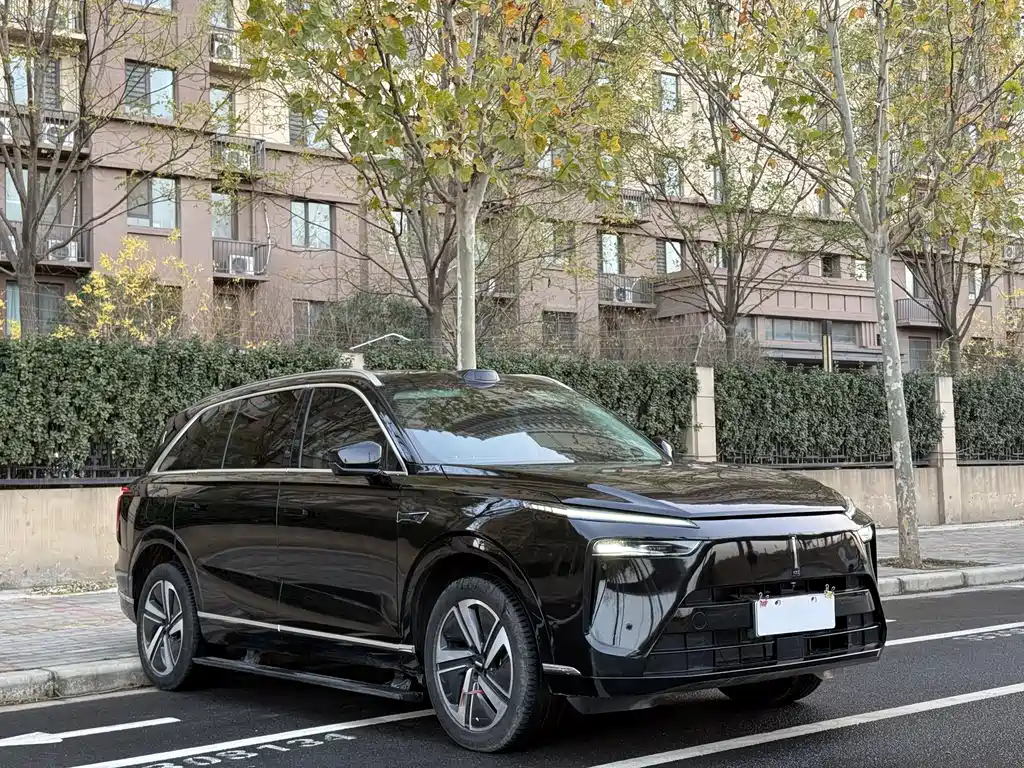 WEI PAI WEI BRAND BLUE MOUNTAIN