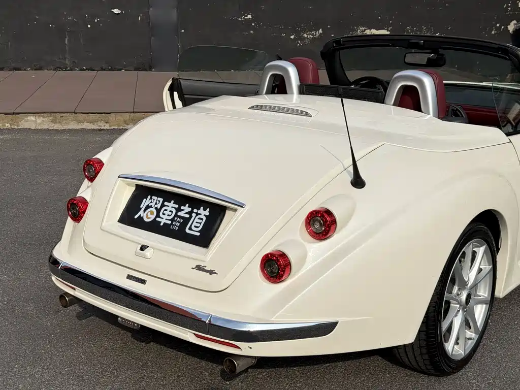 Mitsuoka Queen — миниатюра 19