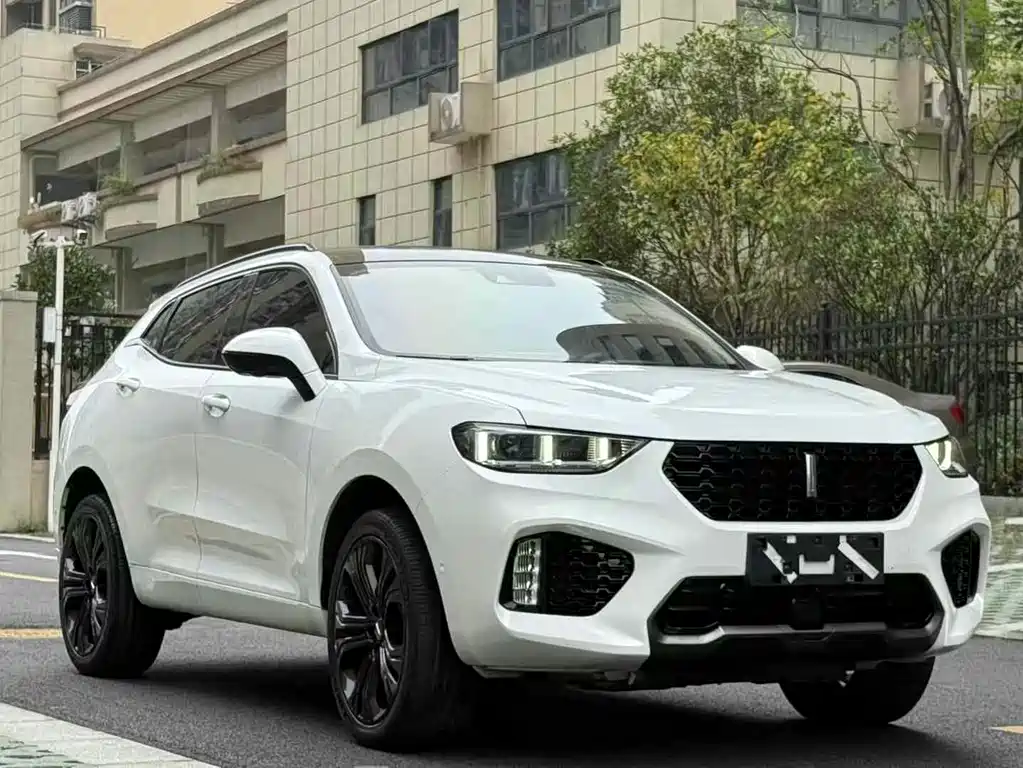 Wey Wey VV5 — миниатюра 3