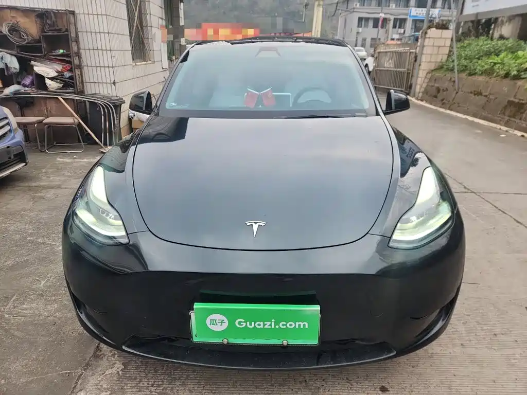 Tesla Model Y — миниатюра 3