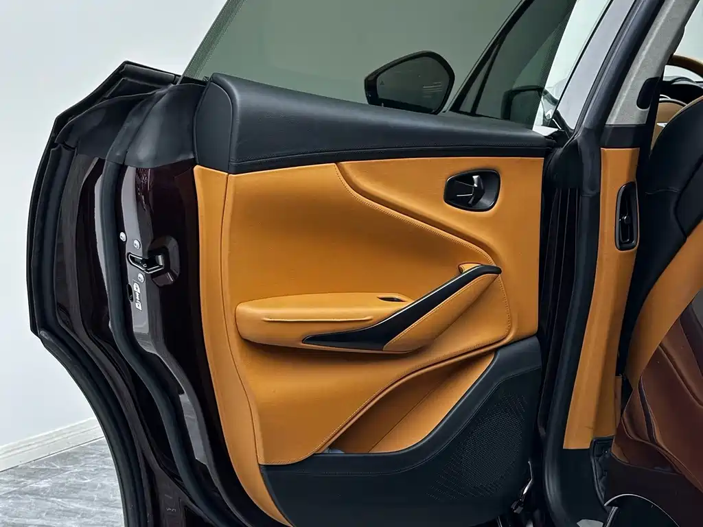 Aston Martin DBX — миниатюра 22