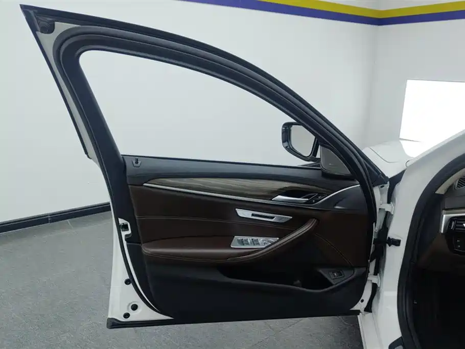 BMW 5 Series 5 2019 530Li Lead Luxury
