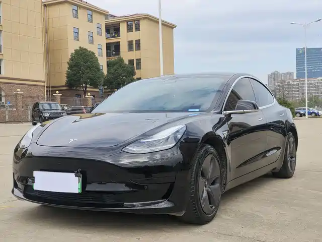 TESLA MODEL 3 2020