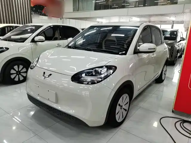 Wuling Bingo