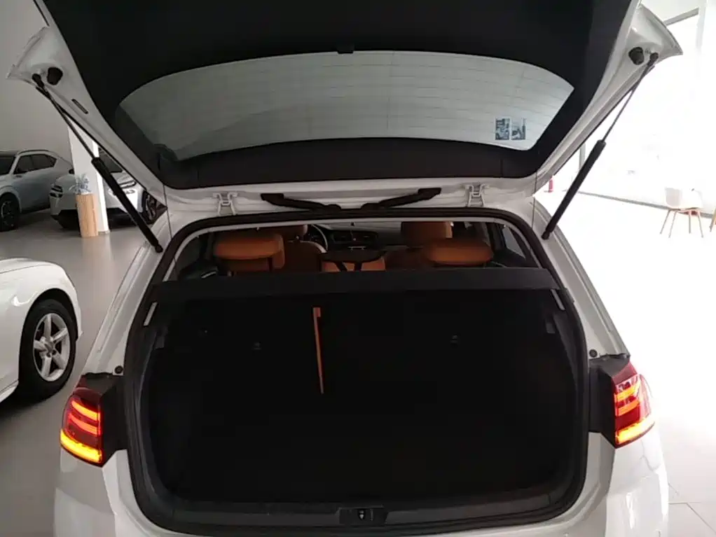 Volkswagen Golf — миниатюра 19