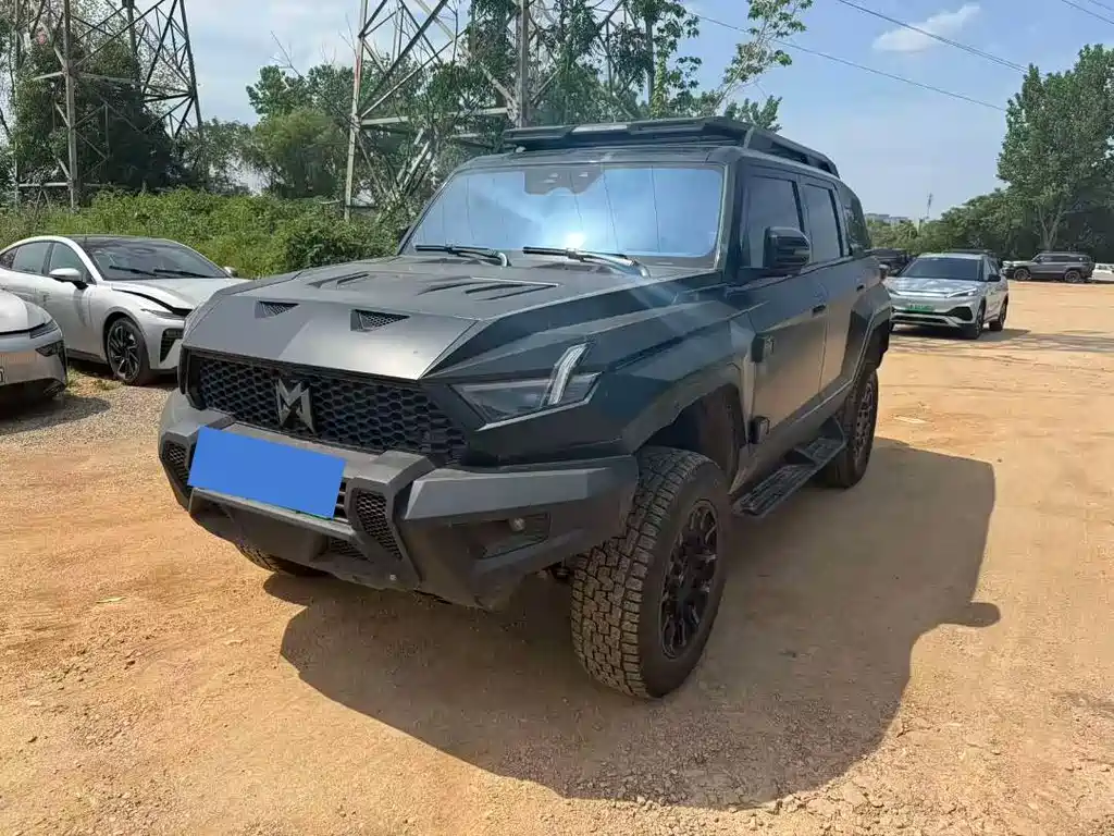 Mengshi Mengshi 917 2024