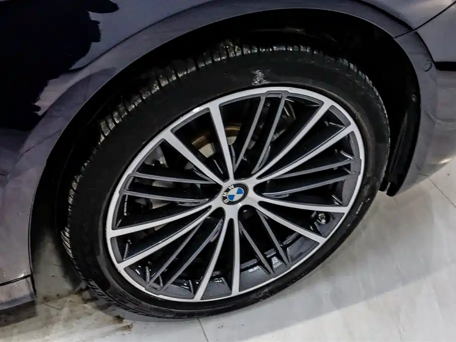 BMW 5 Series 5 2022 530Li Lead M Sport