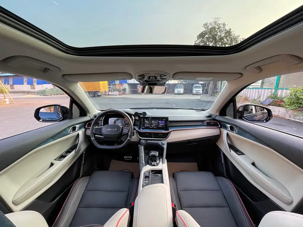 LYNK 06