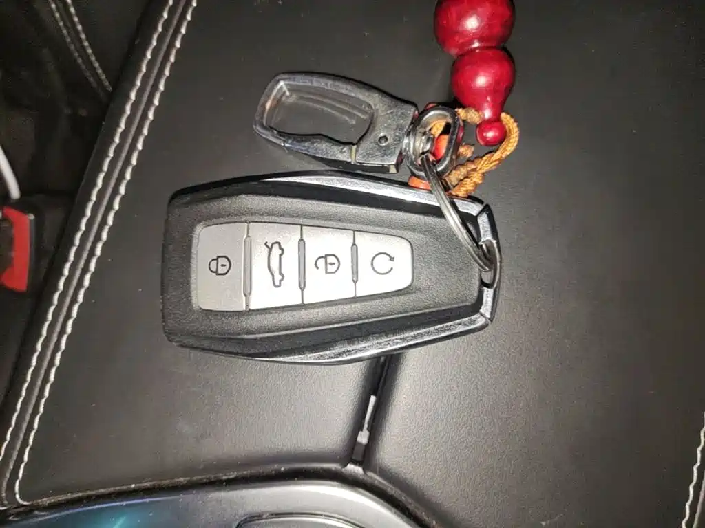 Geely Borui 2022 1.5T PHEV Luxury