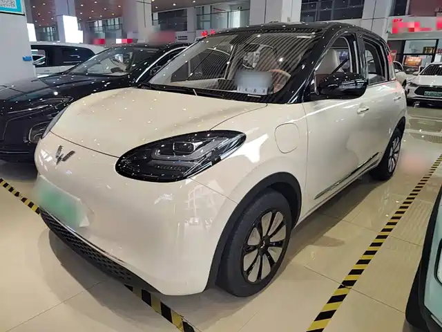 2026 Wuling Motors Binguo