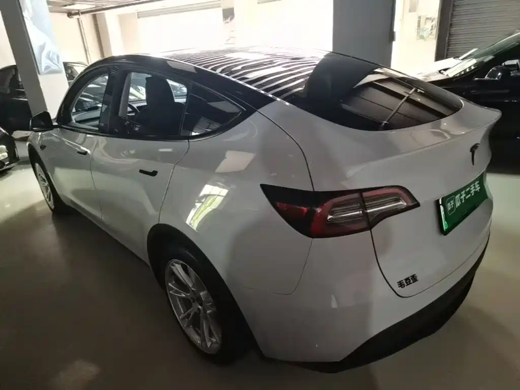 Tesla Model Y — миниатюра 5