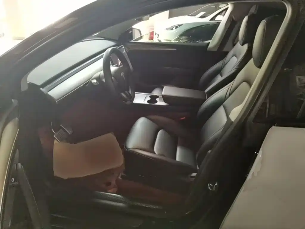 Tesla Model Y — миниатюра 15