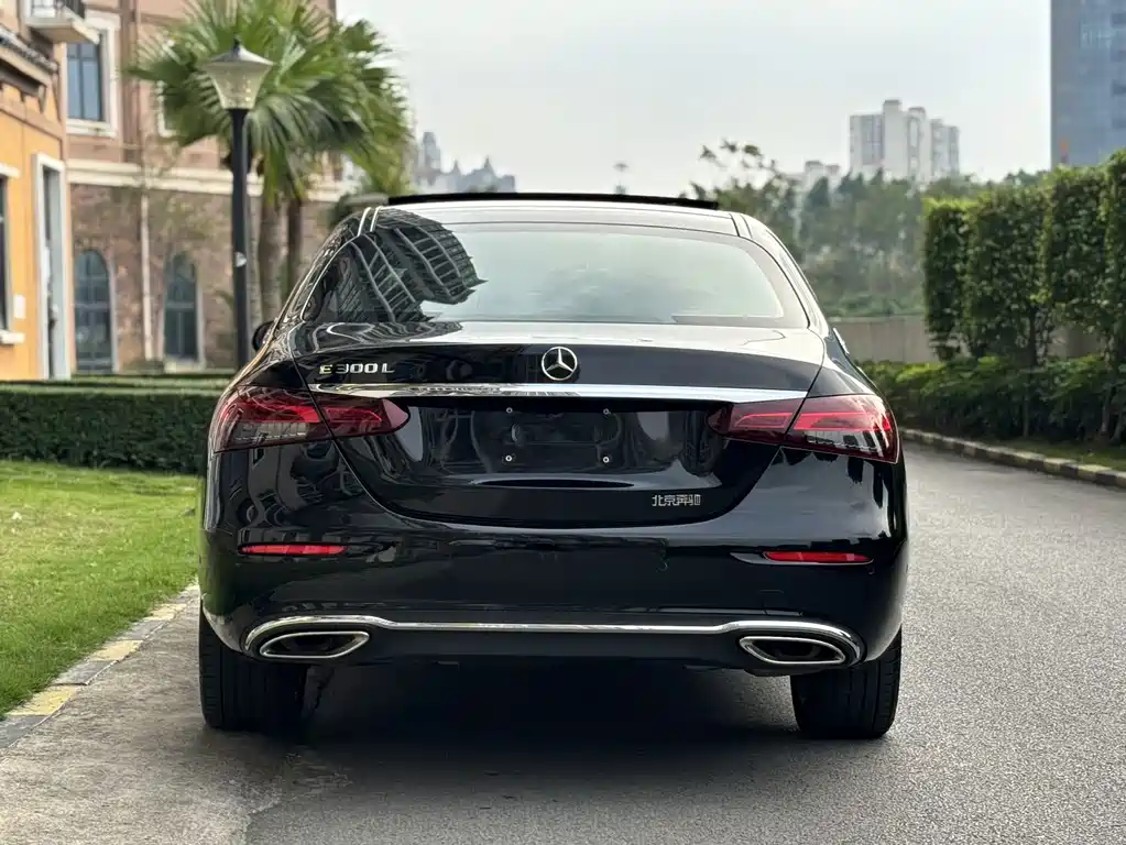 Mercedes-Benz E-Class E 300 L Luxury Type, фото 4