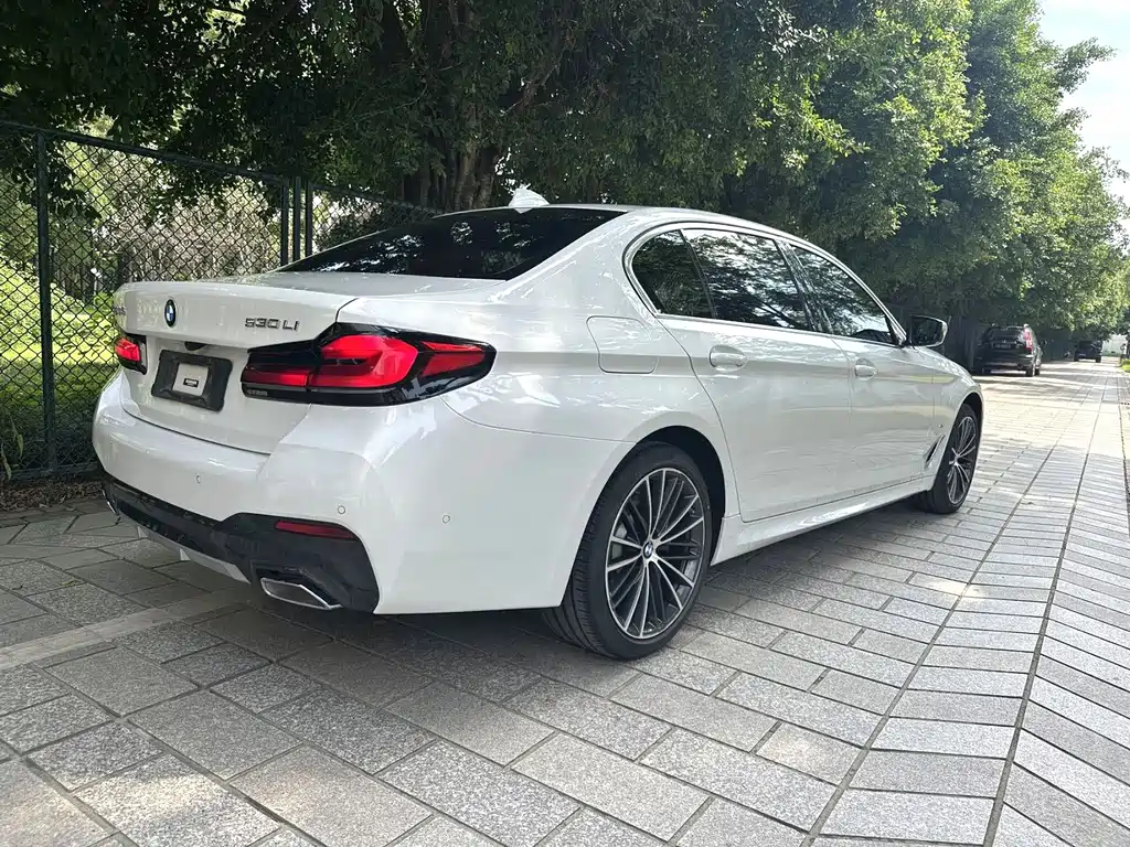 BMW 5 Series — миниатюра 2