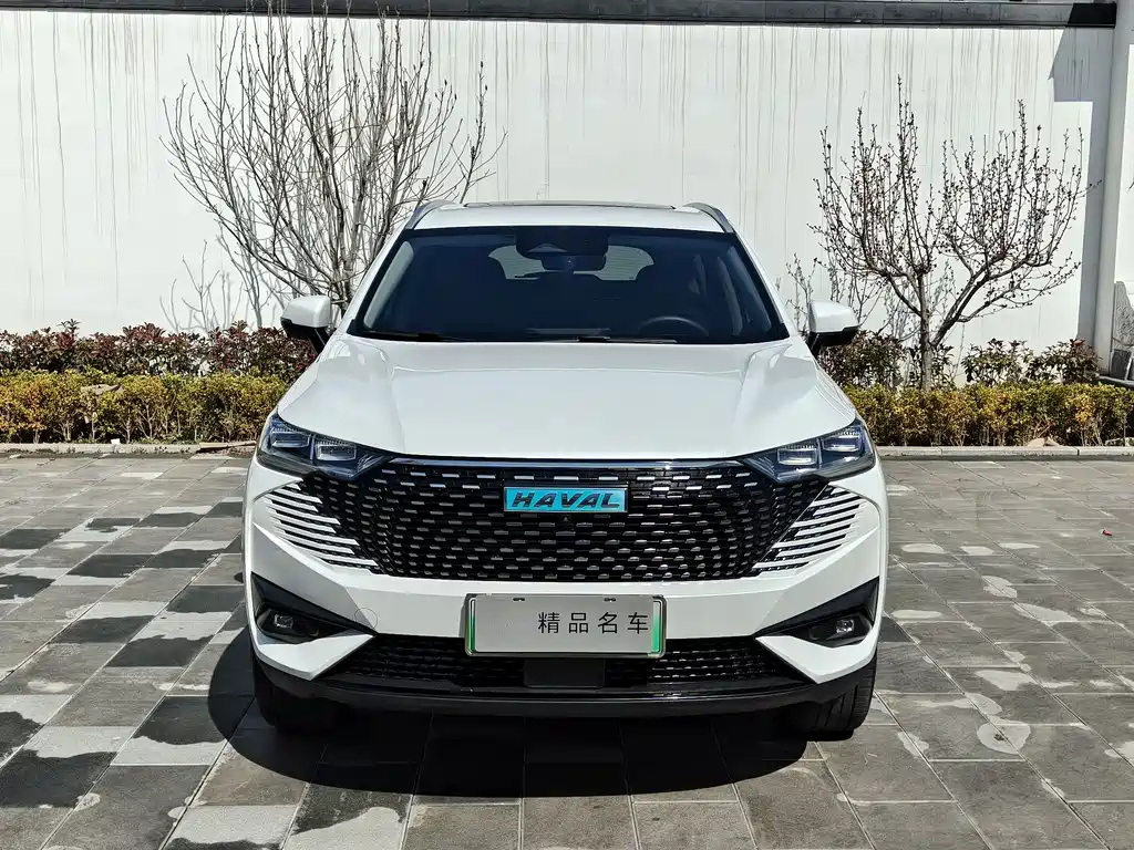 HAVAL H6 NEW ENERGY