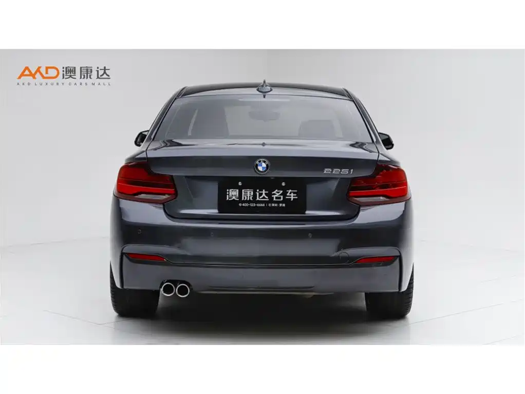 BMW 2 Series 2 2019 225i Premium M Sport
