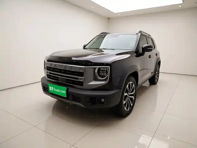 2024 Haval Big Dog