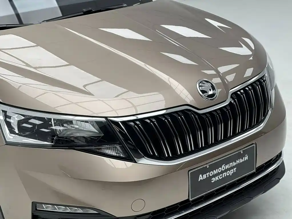 Skoda Kamiq — миниатюра 5