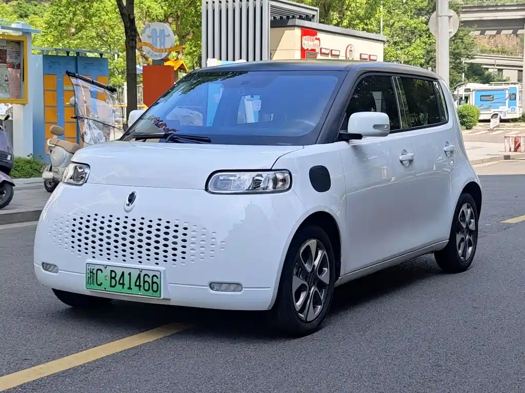 Ora Ora White Cat 2021