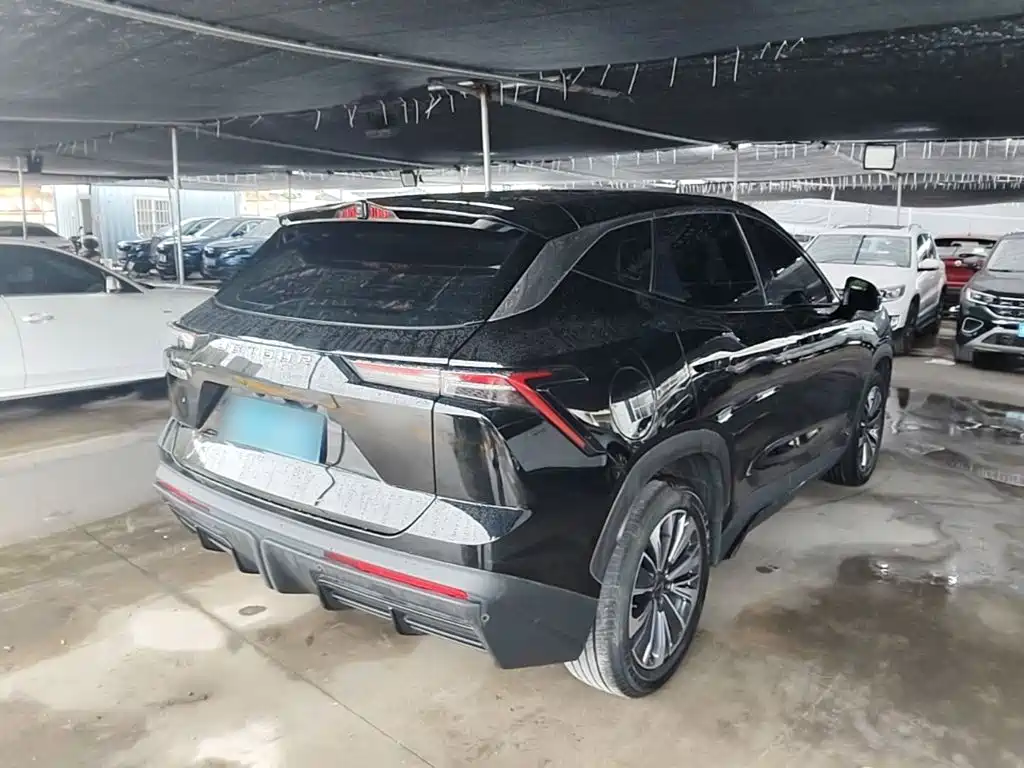 Jetour Dasheng — миниатюра 7