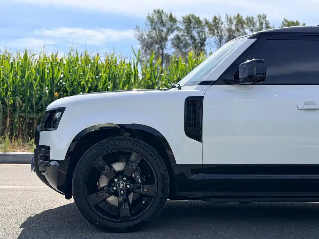 Land Rover Defender — миниатюра 4