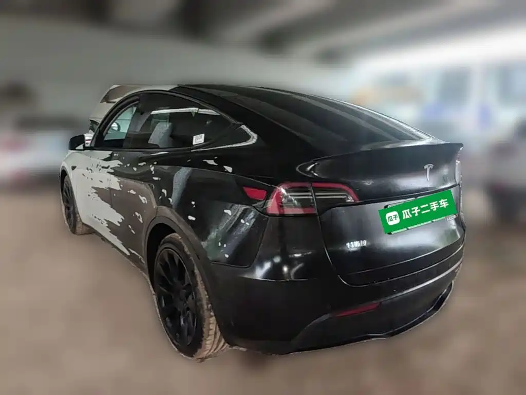 Tesla Model Y — миниатюра 7