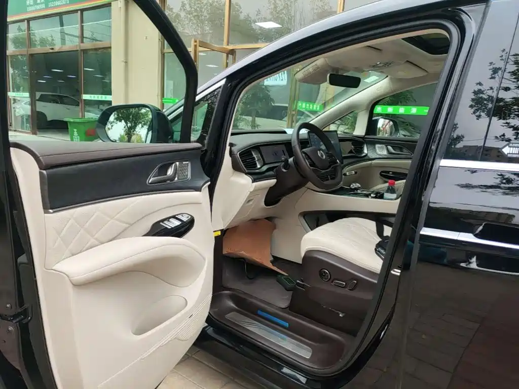 Denza Denza D9 — миниатюра 16