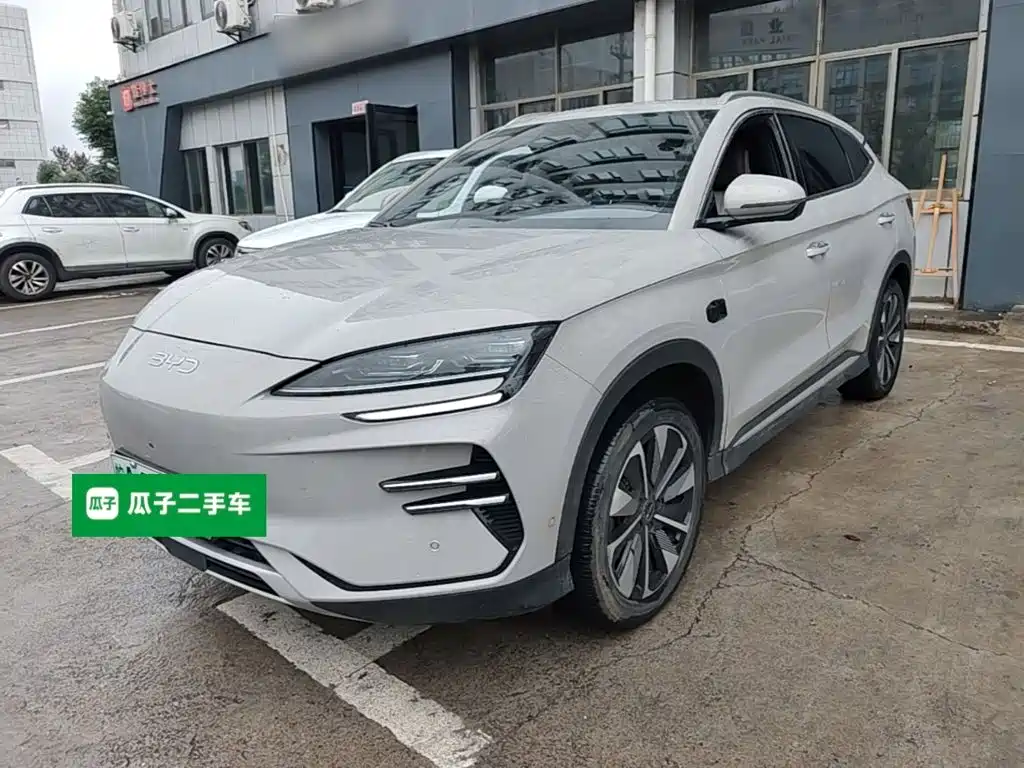 BYD PLUS New Energy