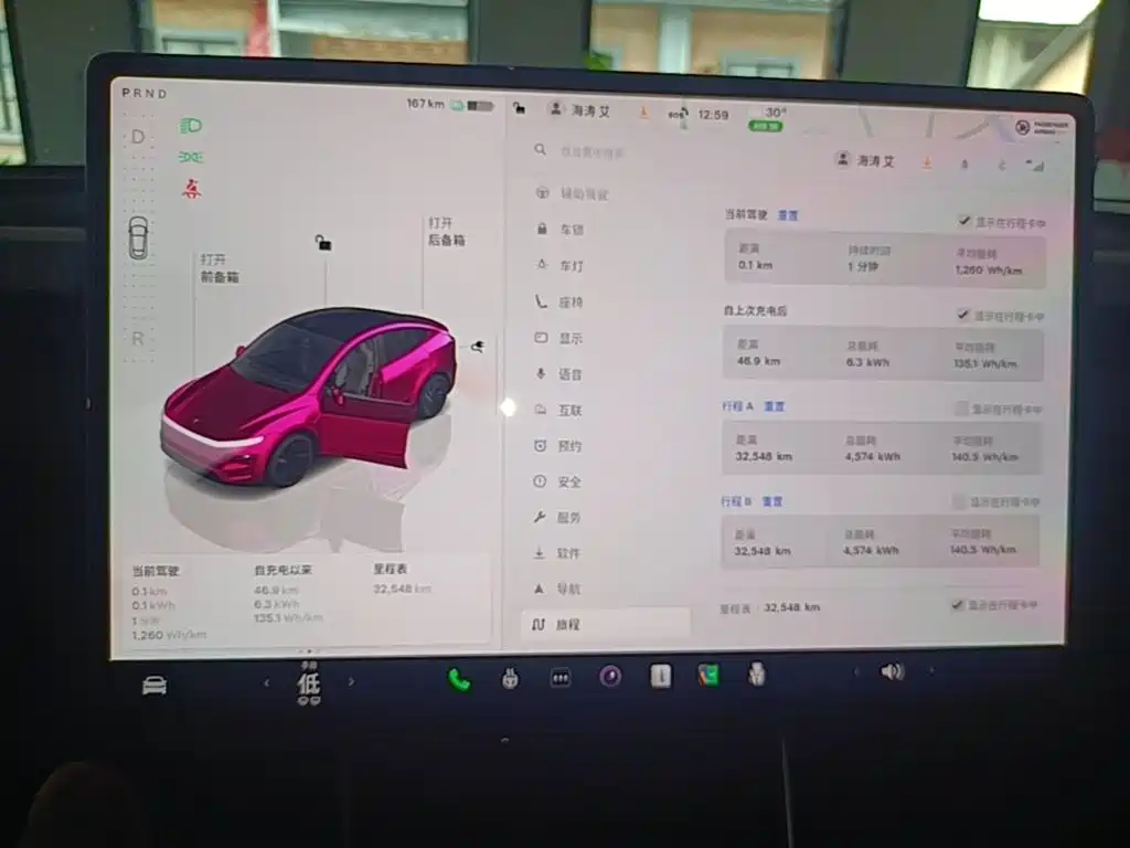 Tesla Model Y — миниатюра 12