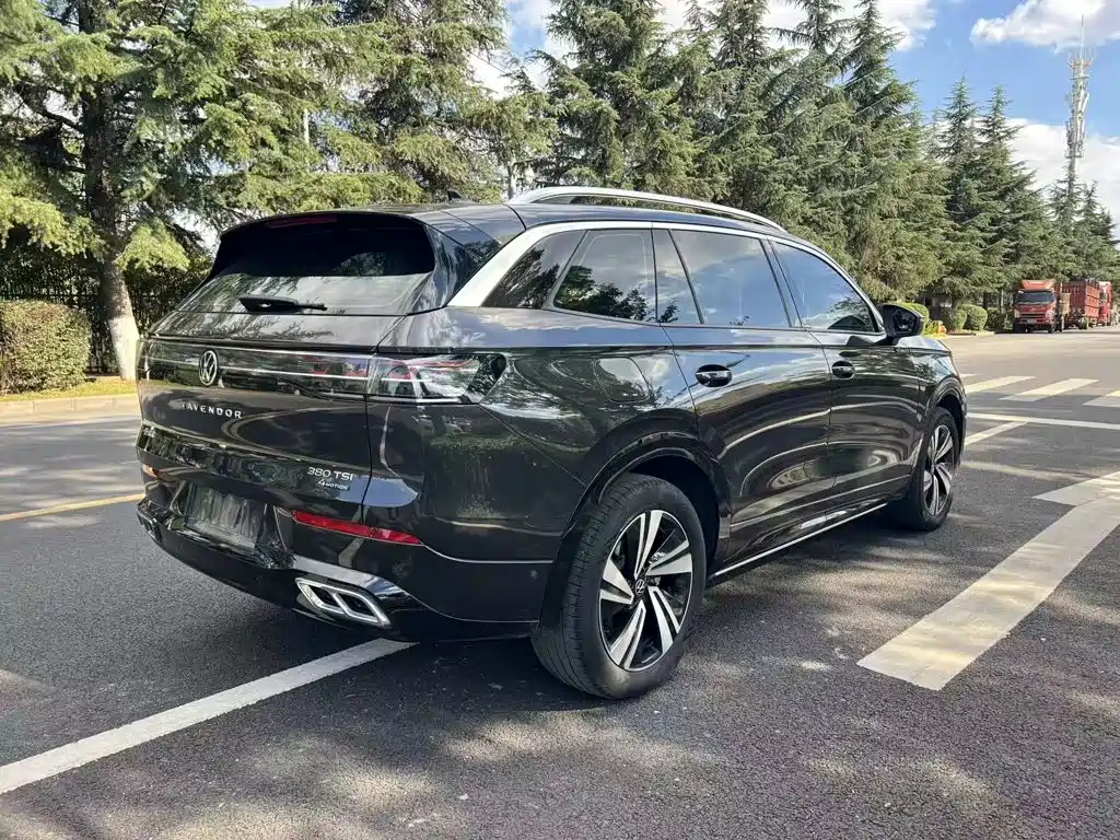 Volkswagen Tavendor — миниатюра 10
