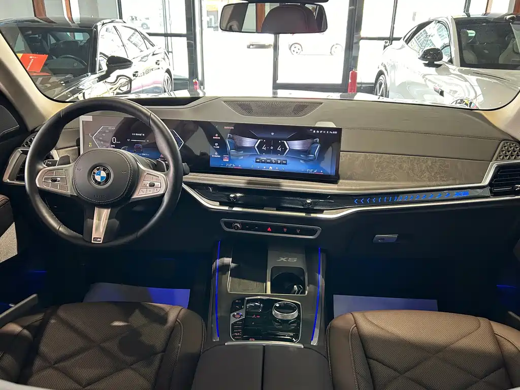 BMW X5 — миниатюра 23