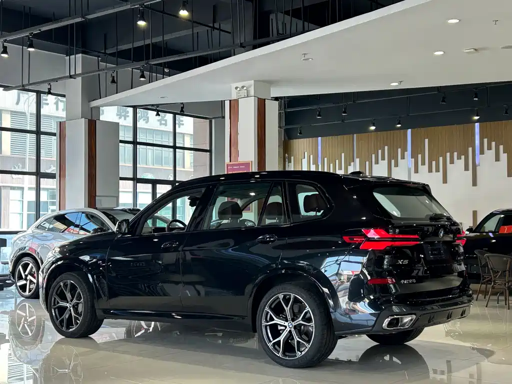 BMW X5 — миниатюра 30