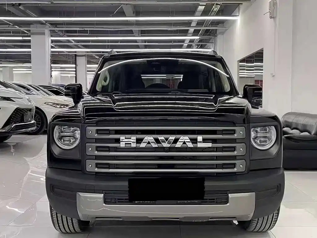 Haval Menglong New Energy — миниатюра 2