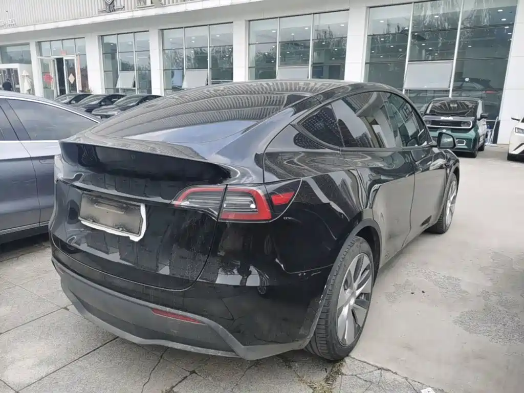 Tesla Model Y — миниатюра 7