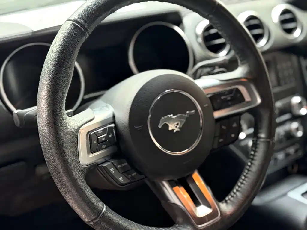 Ford Mustang — миниатюра 9