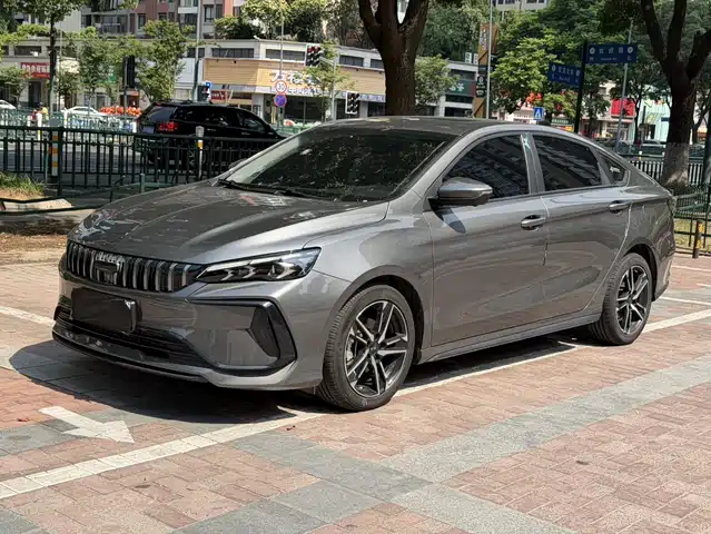 2025 Geely Binrui