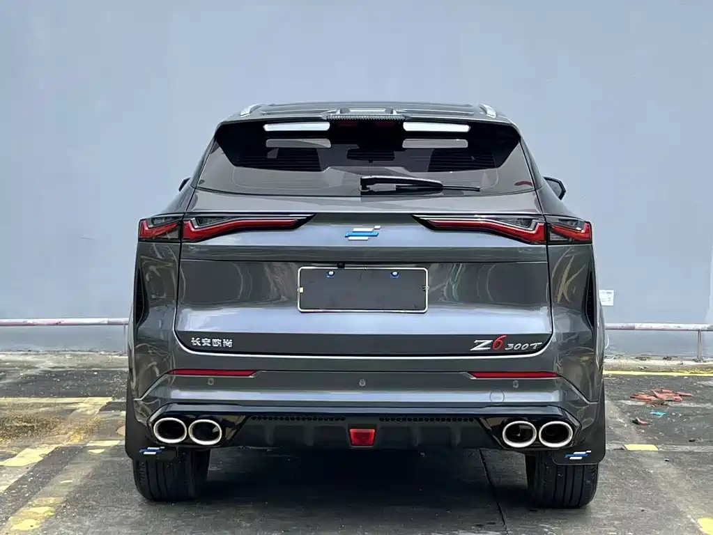 Oshan Oushang Z6 — миниатюра 5