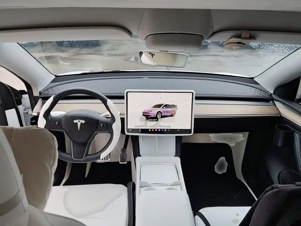 Tesla Model Y — миниатюра 10
