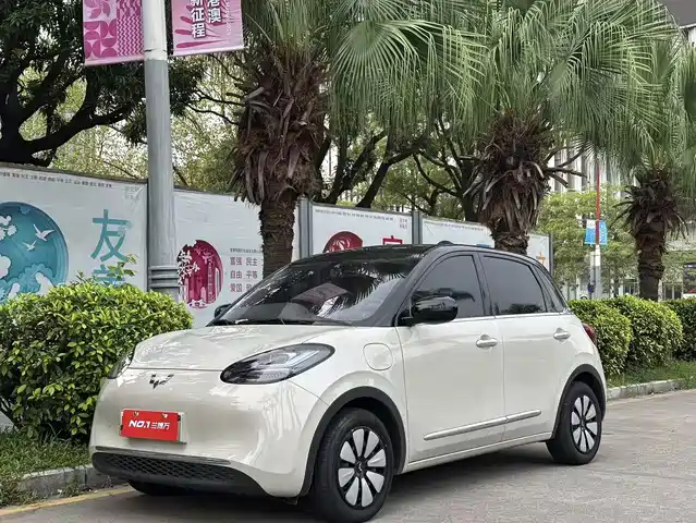 WULING AUTOMOBILE WULING BINGGUO 2024