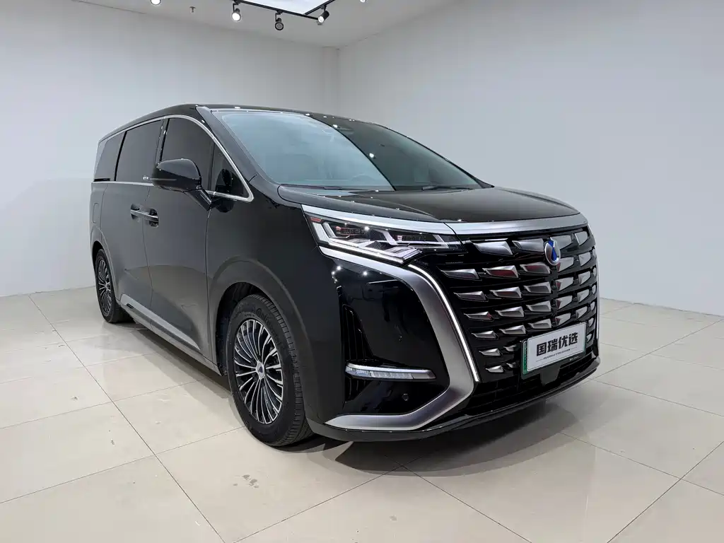 Denza Denza D9 — миниатюра 3