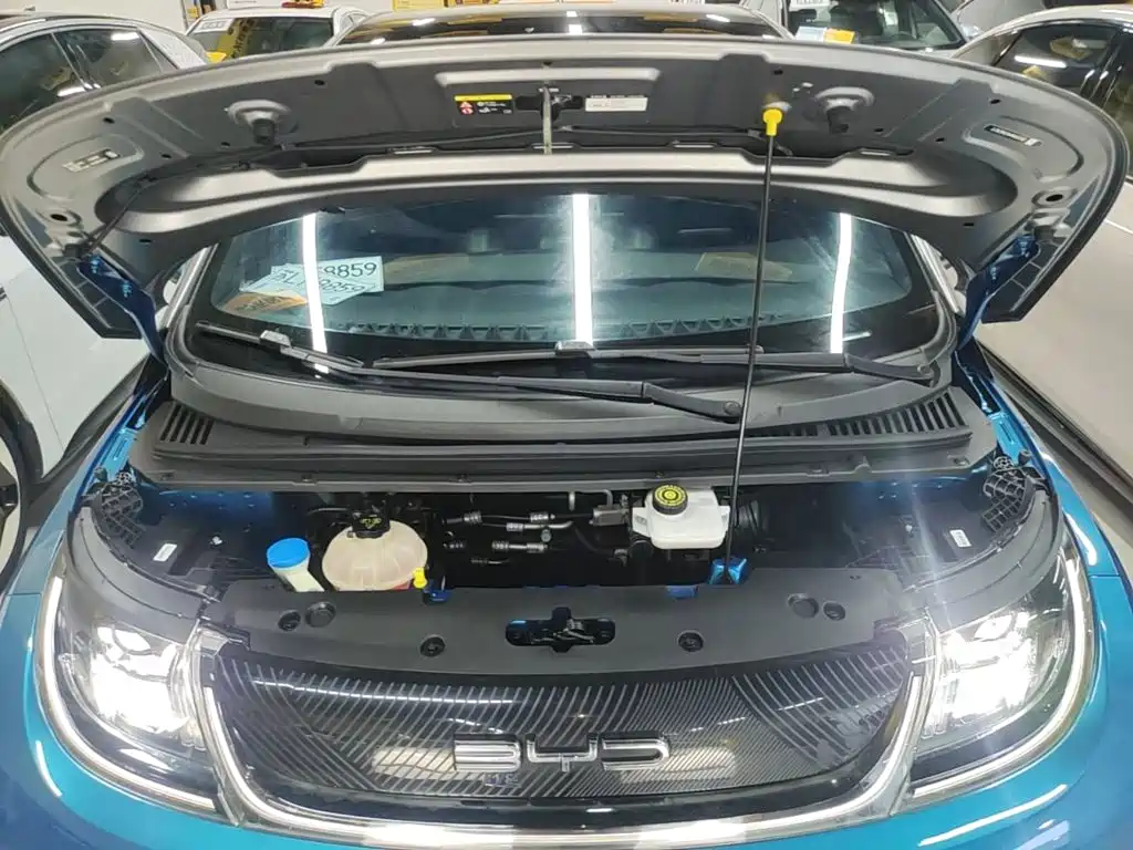 BYD Dolphin — миниатюра 20