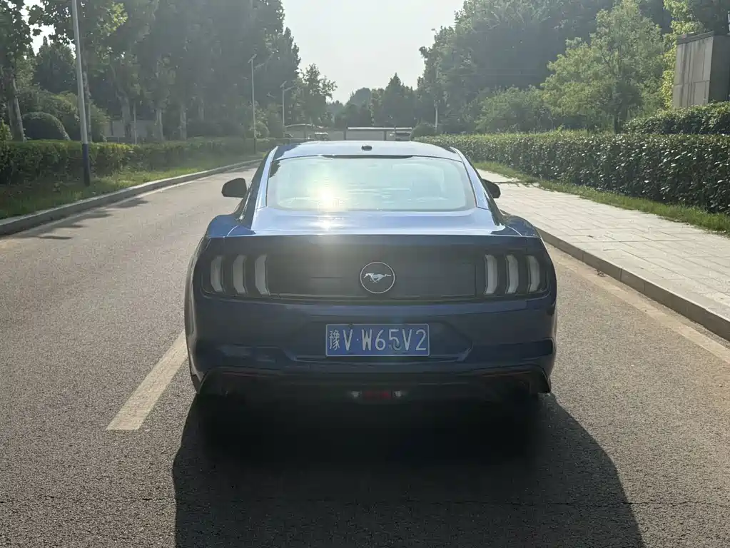 Ford Mustang — миниатюра 7