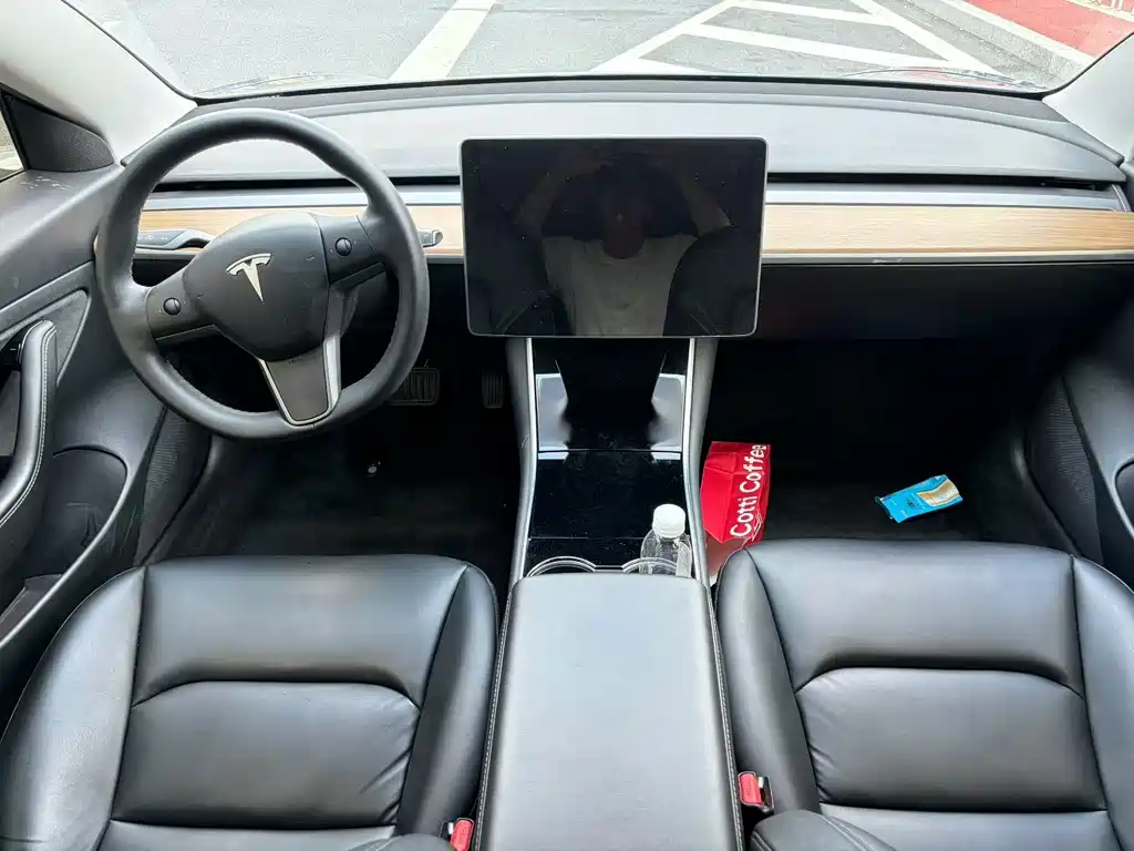 Tesla Model 3 — миниатюра 7