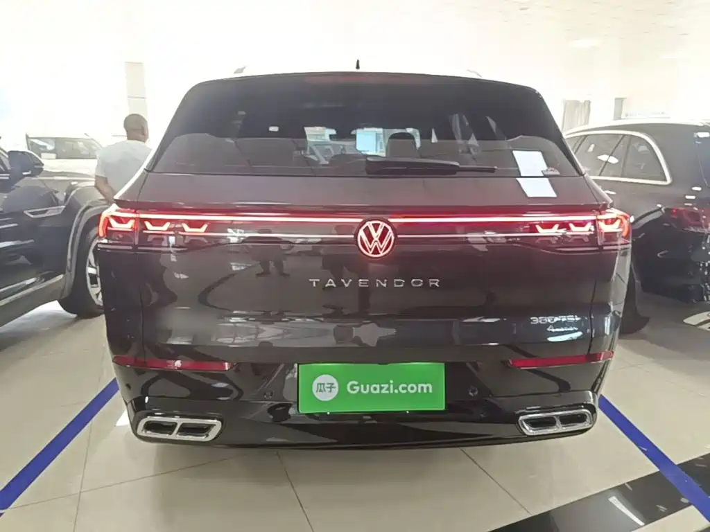 Volkswagen Tavendor — миниатюра 6
