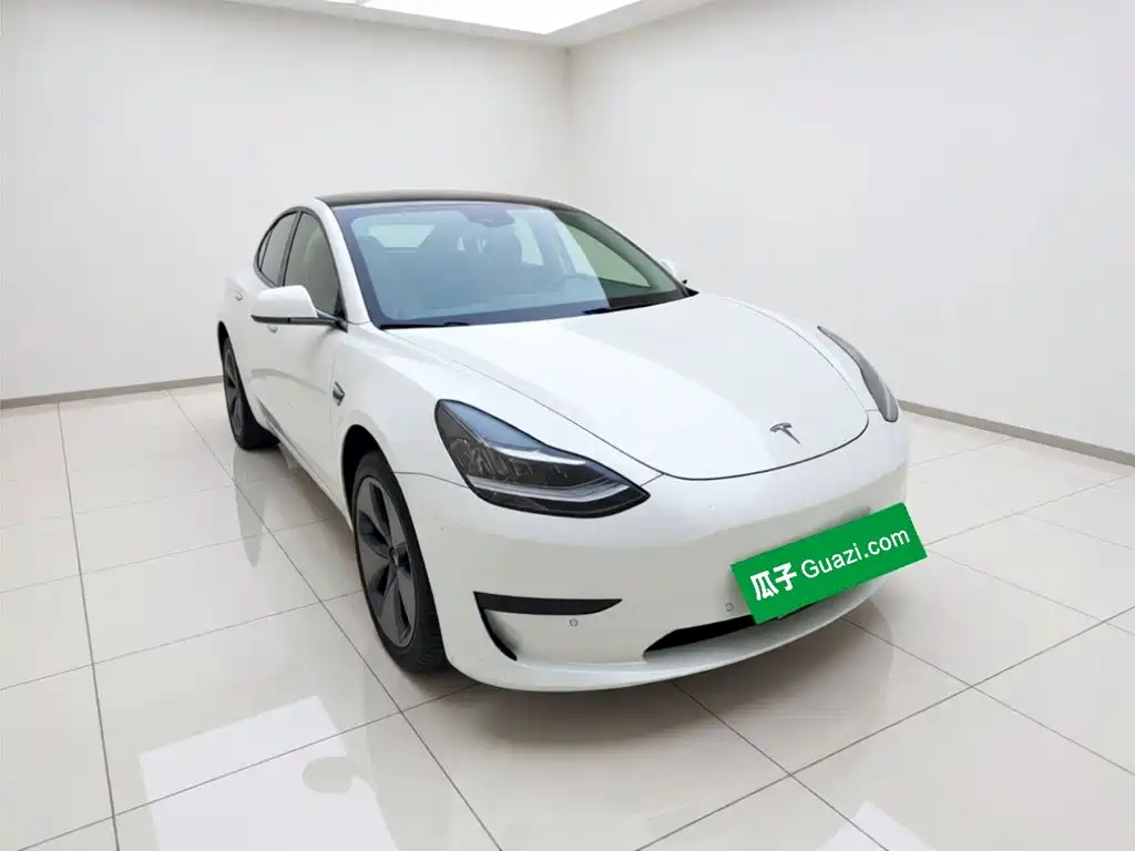 Tesla Model 3 — миниатюра 3